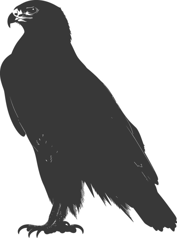 ai généré silhouette faucon animal noir Couleur seulement plein corps vecteur