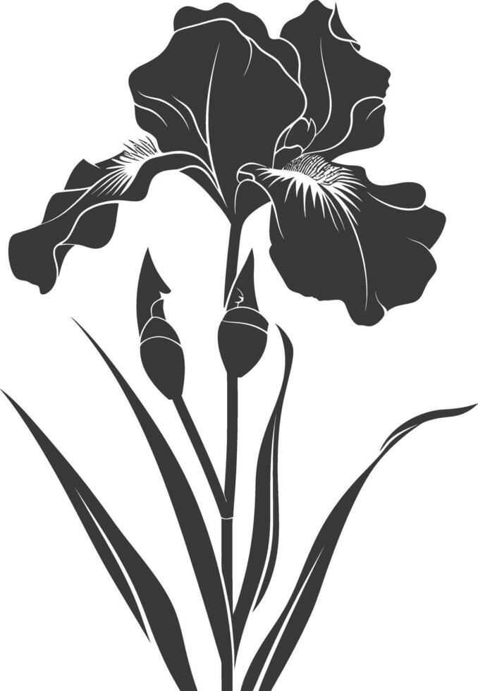 ai généré silhouette iris fleur noir Couleur seulement vecteur