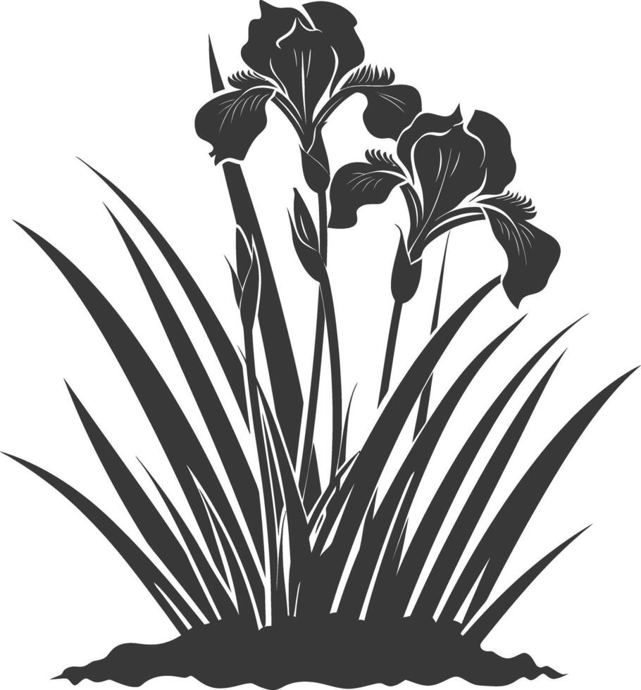 ai généré silhouette iris fleur dans le sol noir Couleur seulement vecteur