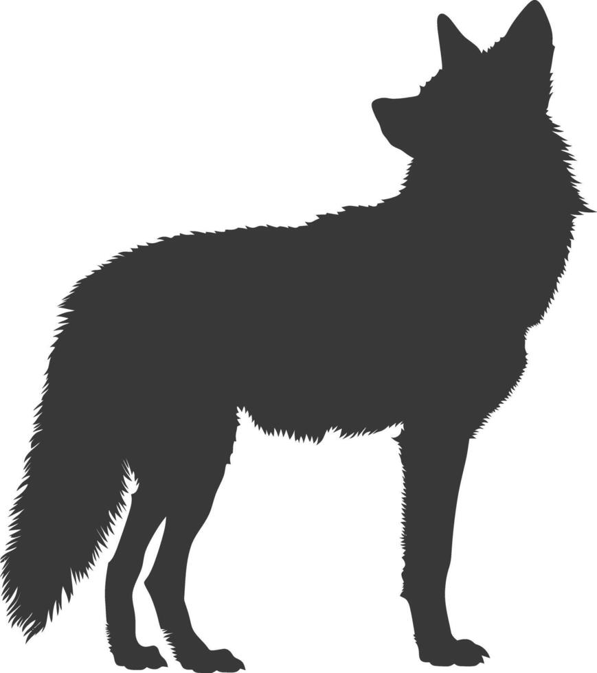 ai généré silhouette coyote animal noir Couleur seulement plein corps vecteur