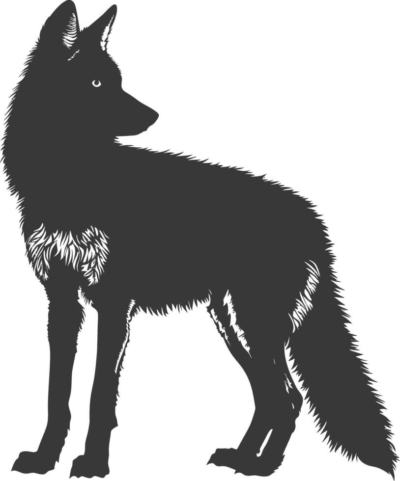 ai généré silhouette coyote animal noir Couleur seulement plein corps vecteur