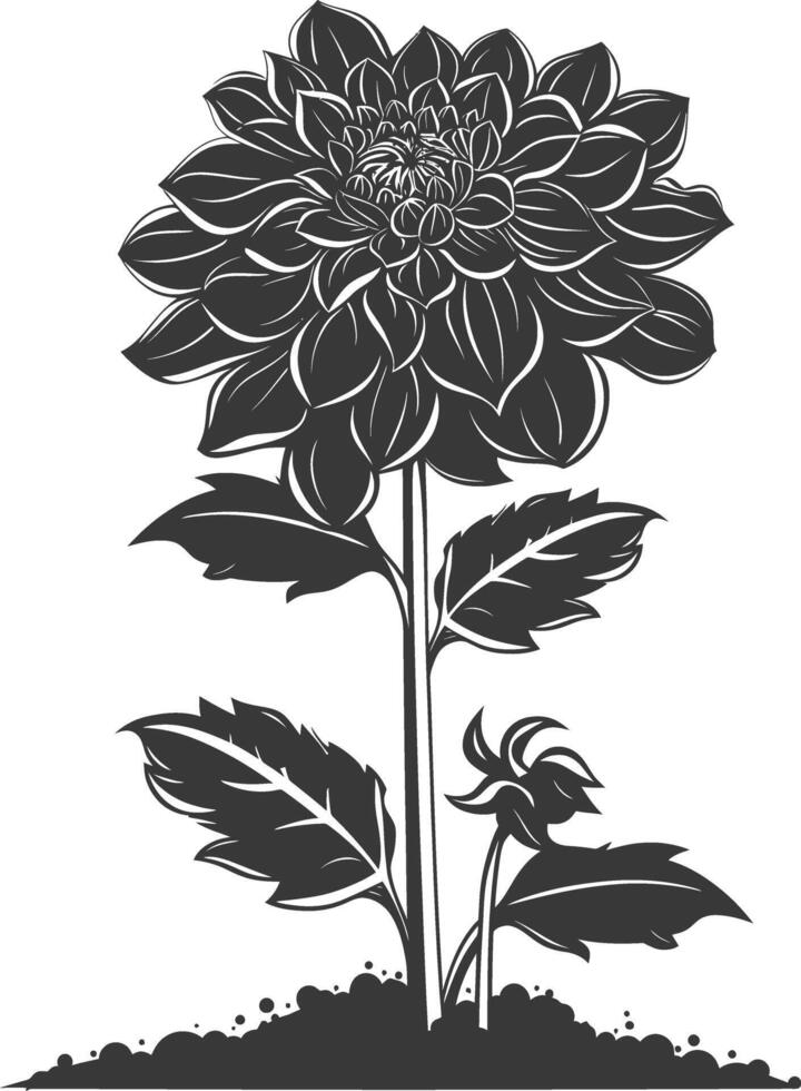 ai généré silhouette dahlia fleur dans le sol noir Couleur seulement vecteur