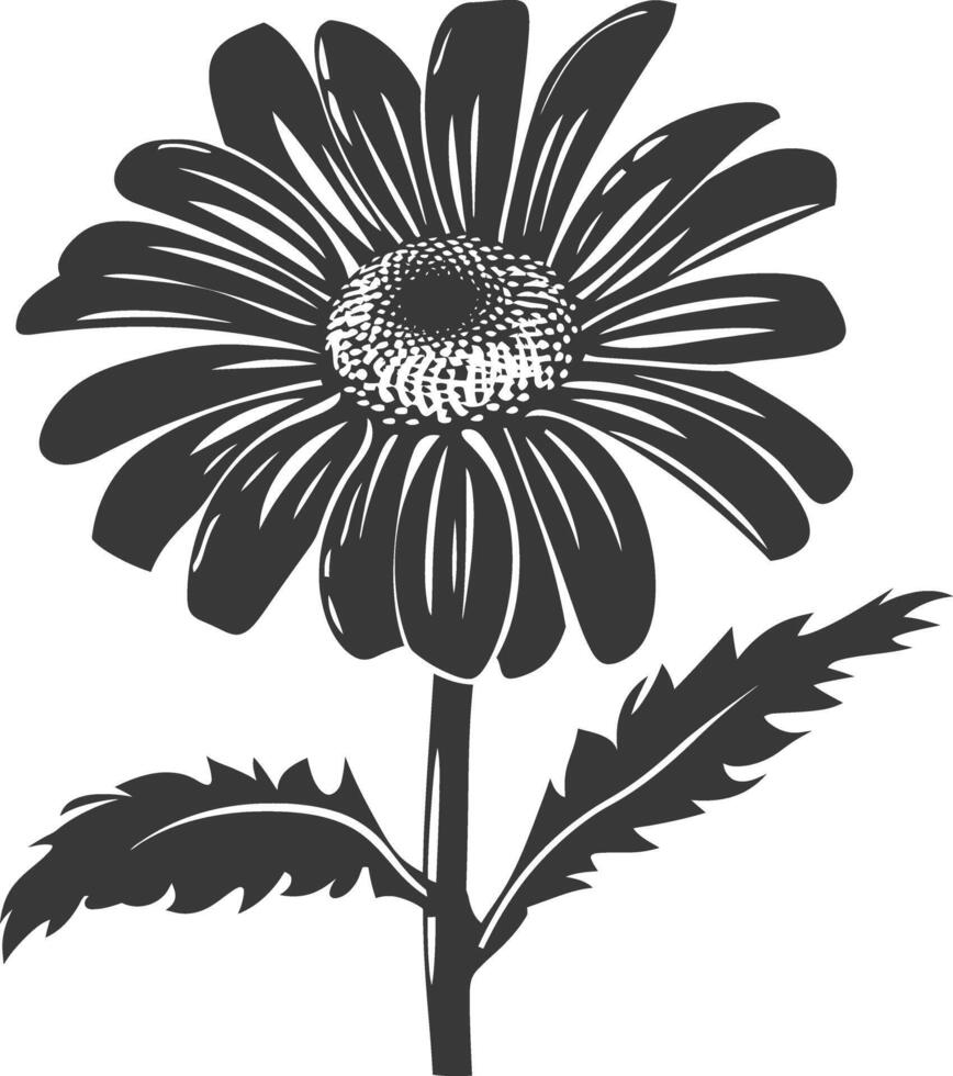 ai généré silhouette Marguerite fleur noir Couleur seulement vecteur