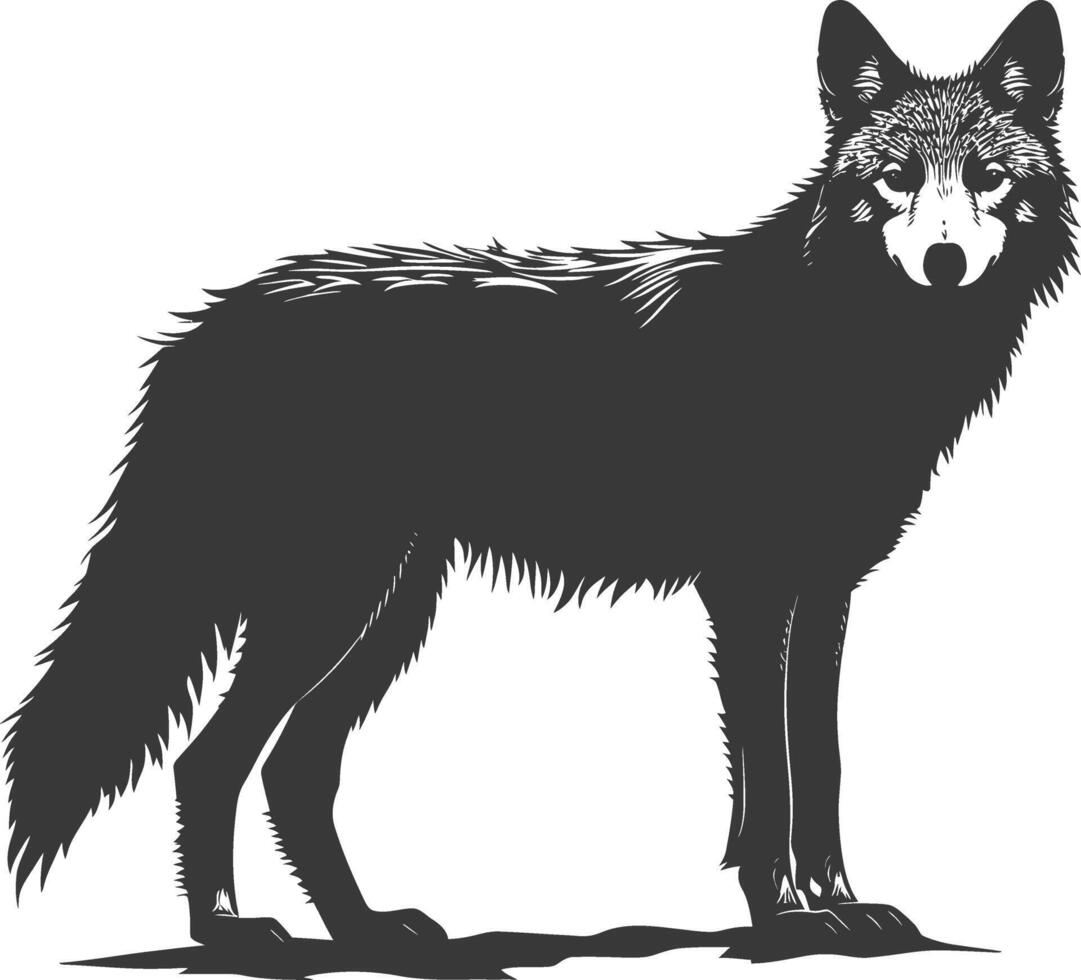 ai généré silhouette coyote animal noir Couleur seulement plein corps vecteur