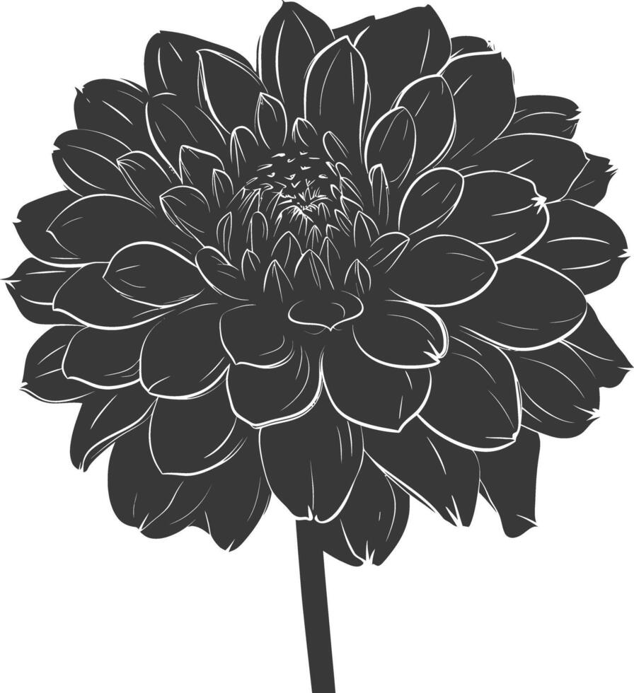 ai généré silhouette dahlia fleur noir Couleur seulement vecteur