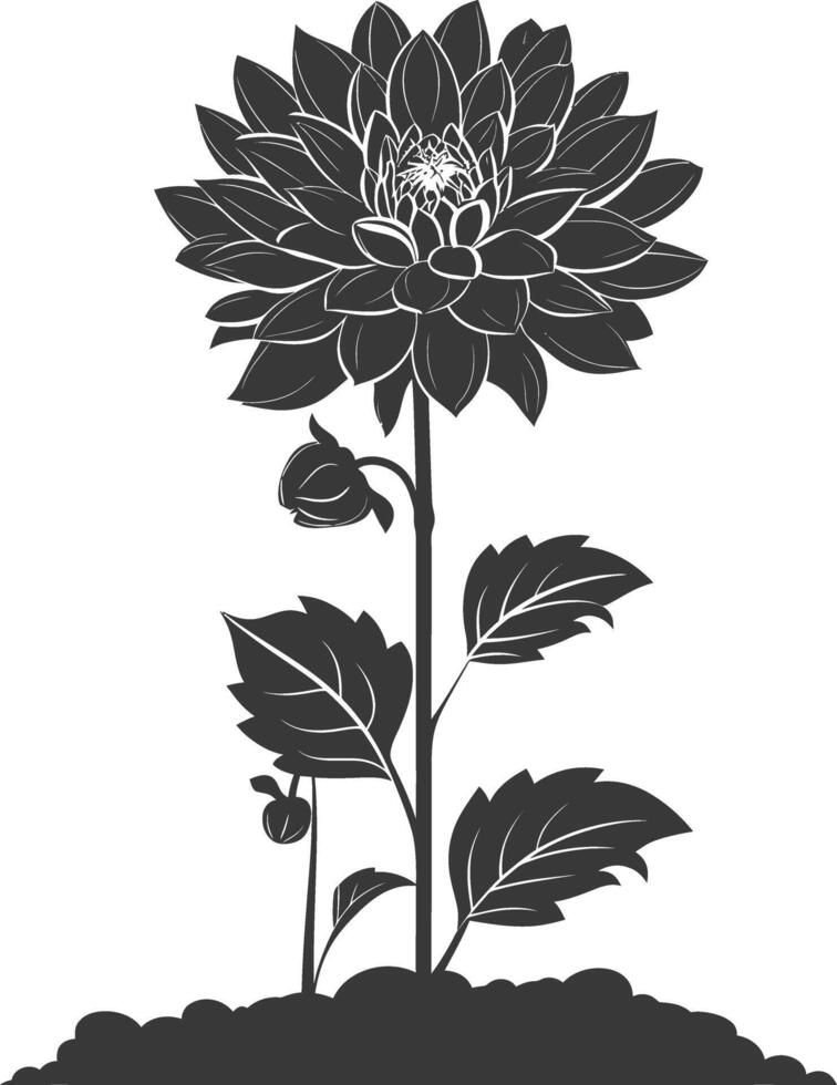 ai généré silhouette dahlia fleur dans le sol noir Couleur seulement vecteur