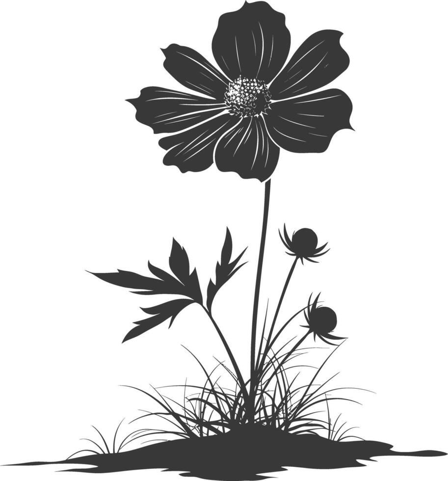 ai généré silhouette cosmos fleur dans le sol noir Couleur seulement vecteur