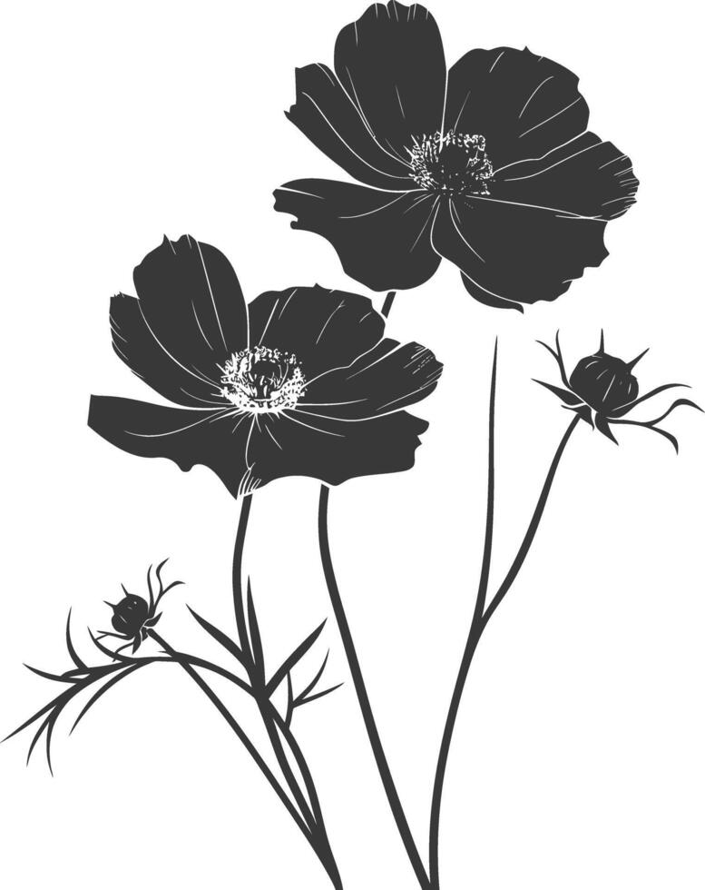 ai généré silhouette cosmos fleur noir Couleur seulement vecteur