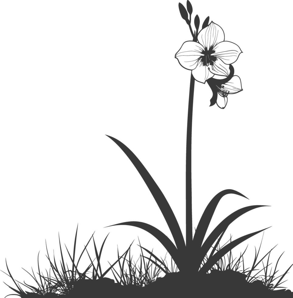 ai généré silhouette amaryllis fleur dans le sol noir Couleur seulement vecteur