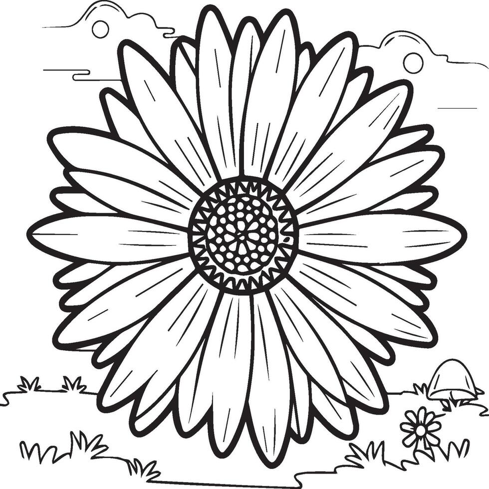 Marguerite fleur coloration pages. Marguerite contour vecteur pour coloration livre