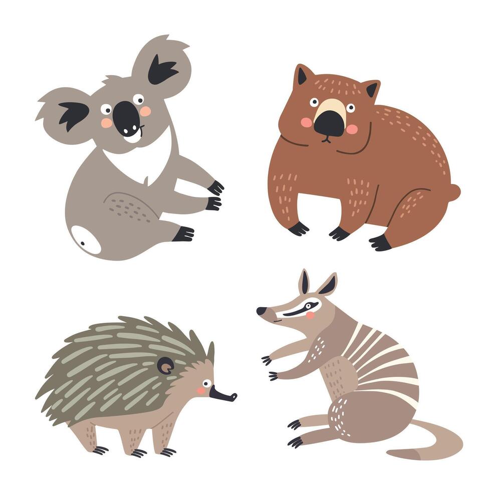 échidné, wombat, koala et fourmilier animaux dans dessin animé style vecteur