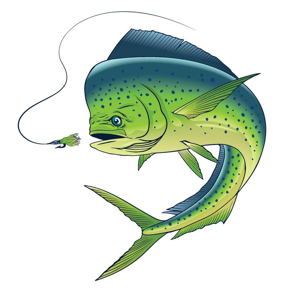 dorado poisson contagieux pêche leurre main tiré illustration vecteur