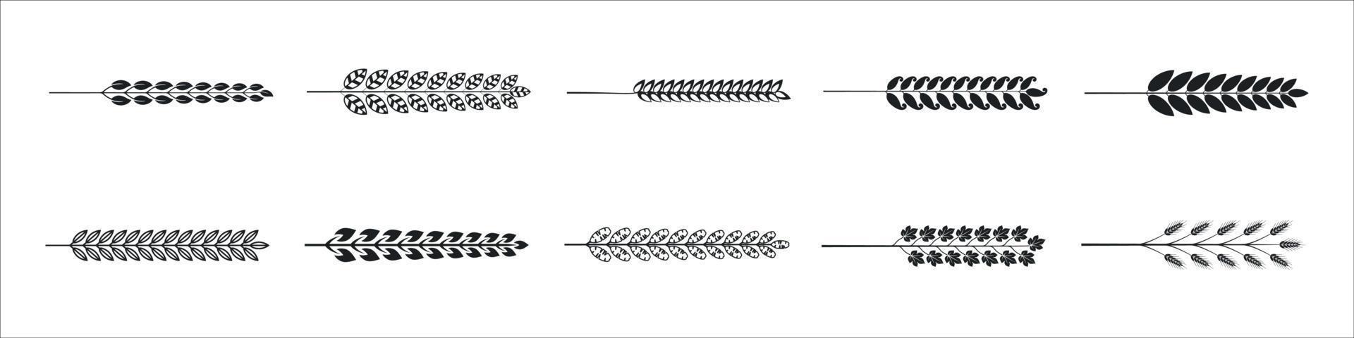 éléments floraux vectoriels dessinés à la main. vecteur