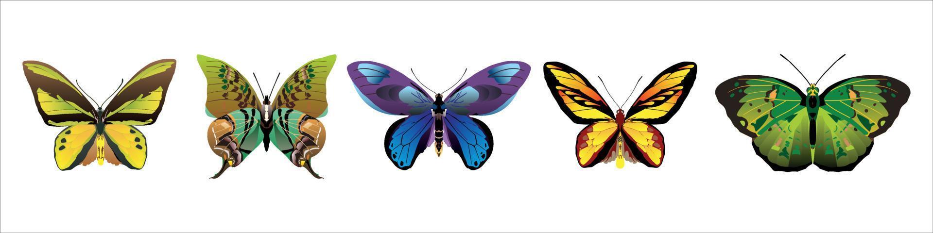 ensemble de papillons vectoriels colorés réalistes. vecteur