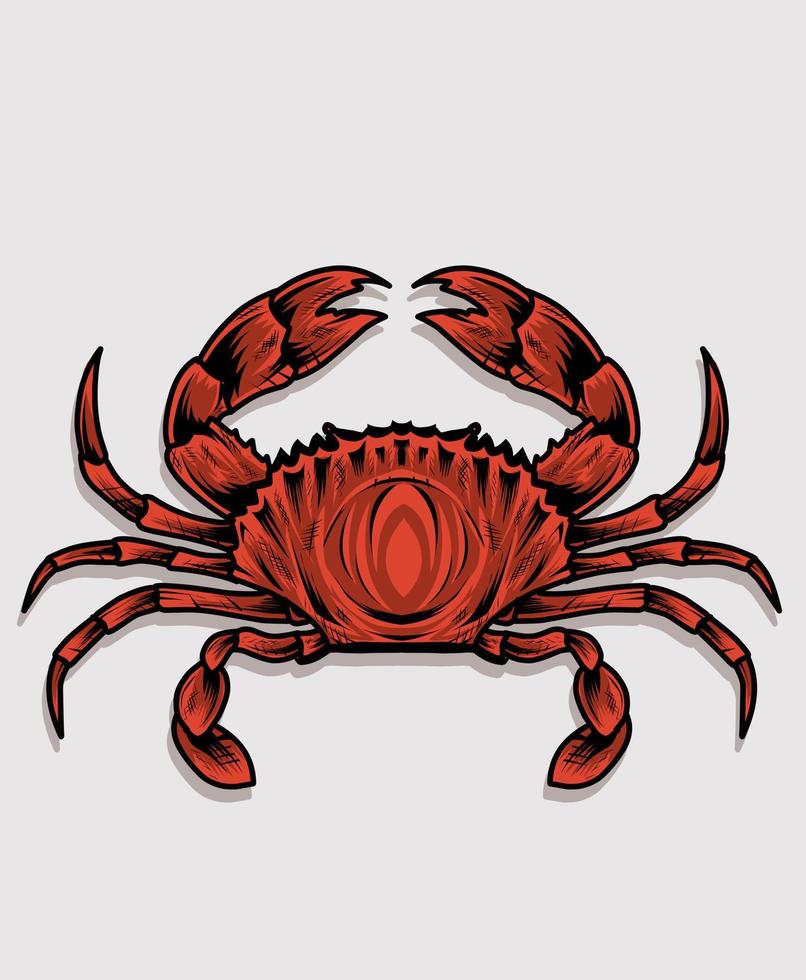 crabe de vecteur d'illustration sur fond blanc