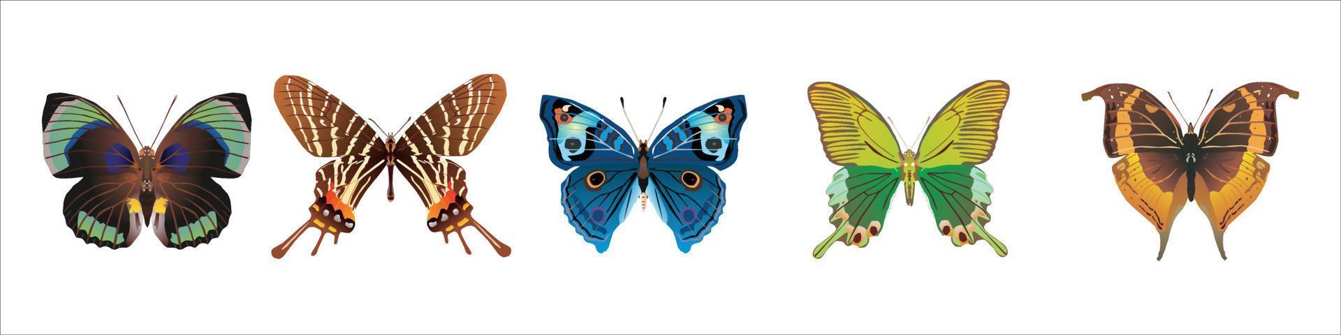 jeu d'icônes de papillon vecteur