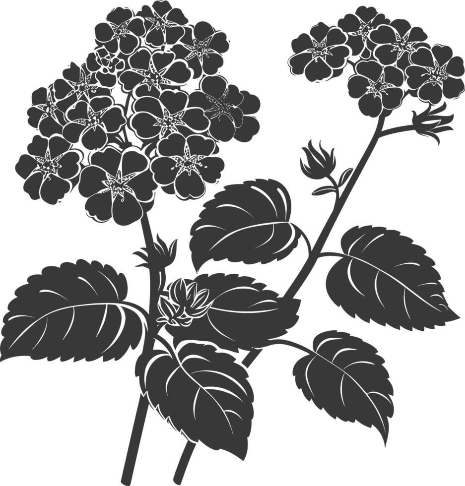 ai généré silhouette lantana fleur noir Couleur seulement vecteur