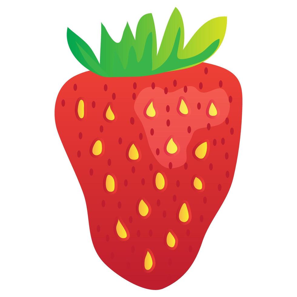 fraise isolé vecteur illustration