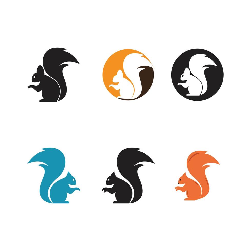 conception d'illustration de modèle de logo d'écureuil vecteur