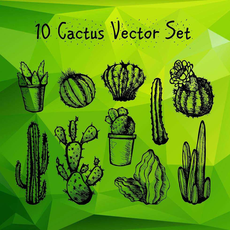 ensemble de cactus isolés dessinés à la main vecteur