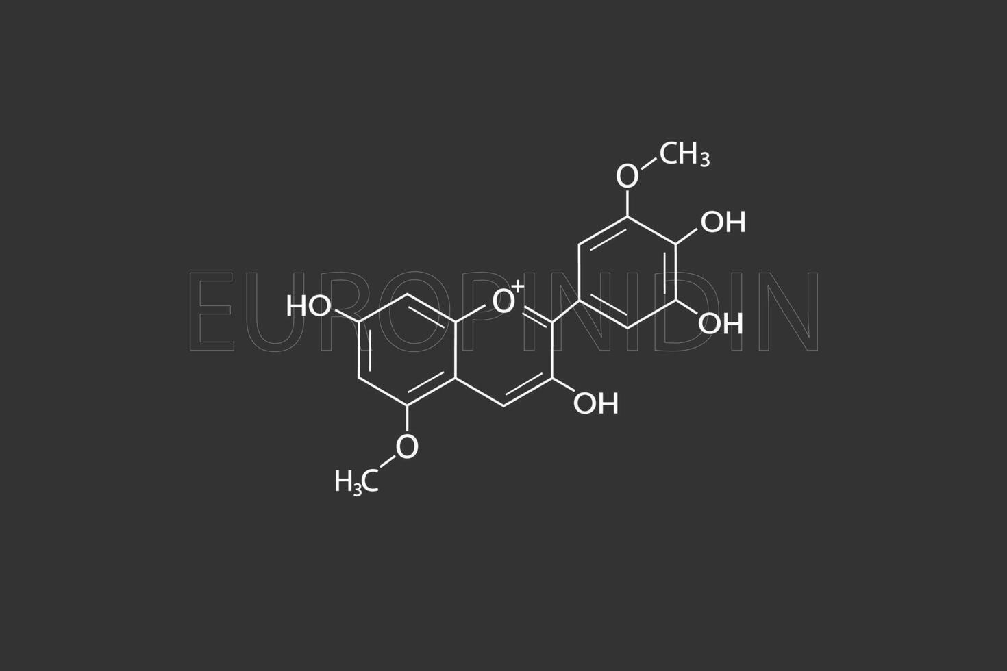 europinidine moléculaire squelettique chimique formule vecteur