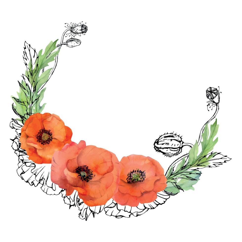 main tiré aquarelle botanique illustration fleurs feuilles. rouge coquelicot papaver, tiges bourgeons les gousses. couronne Cadre isolé sur blanc Contexte. conception mariage, l'amour cartes, souvenir journée papeterie vecteur