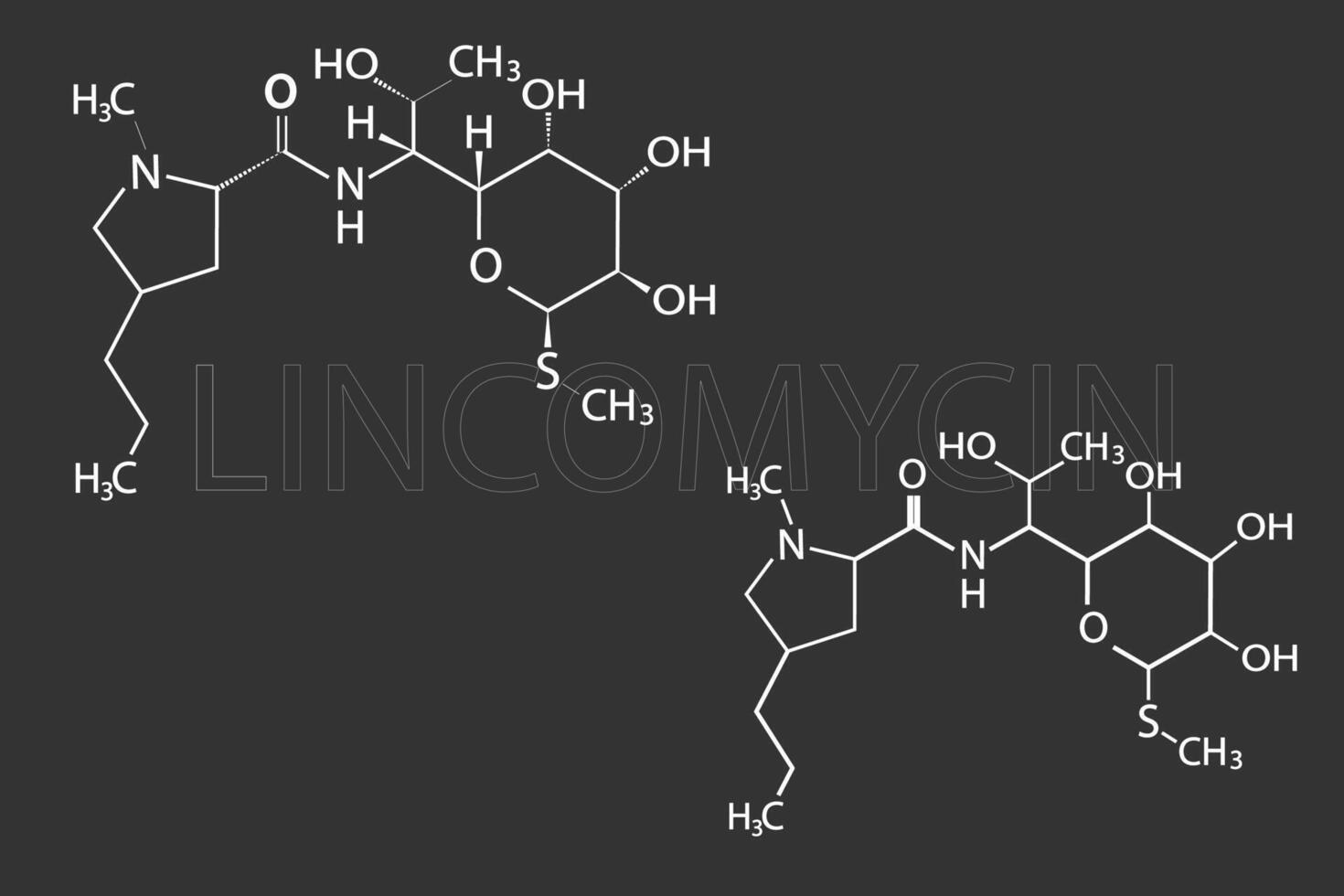 lincomycine moléculaire squelettique chimique formule vecteur