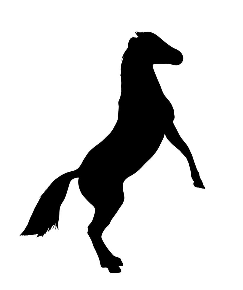 silhouette noire d'un cheval sur fond blanc. illustration vectorielle vecteur