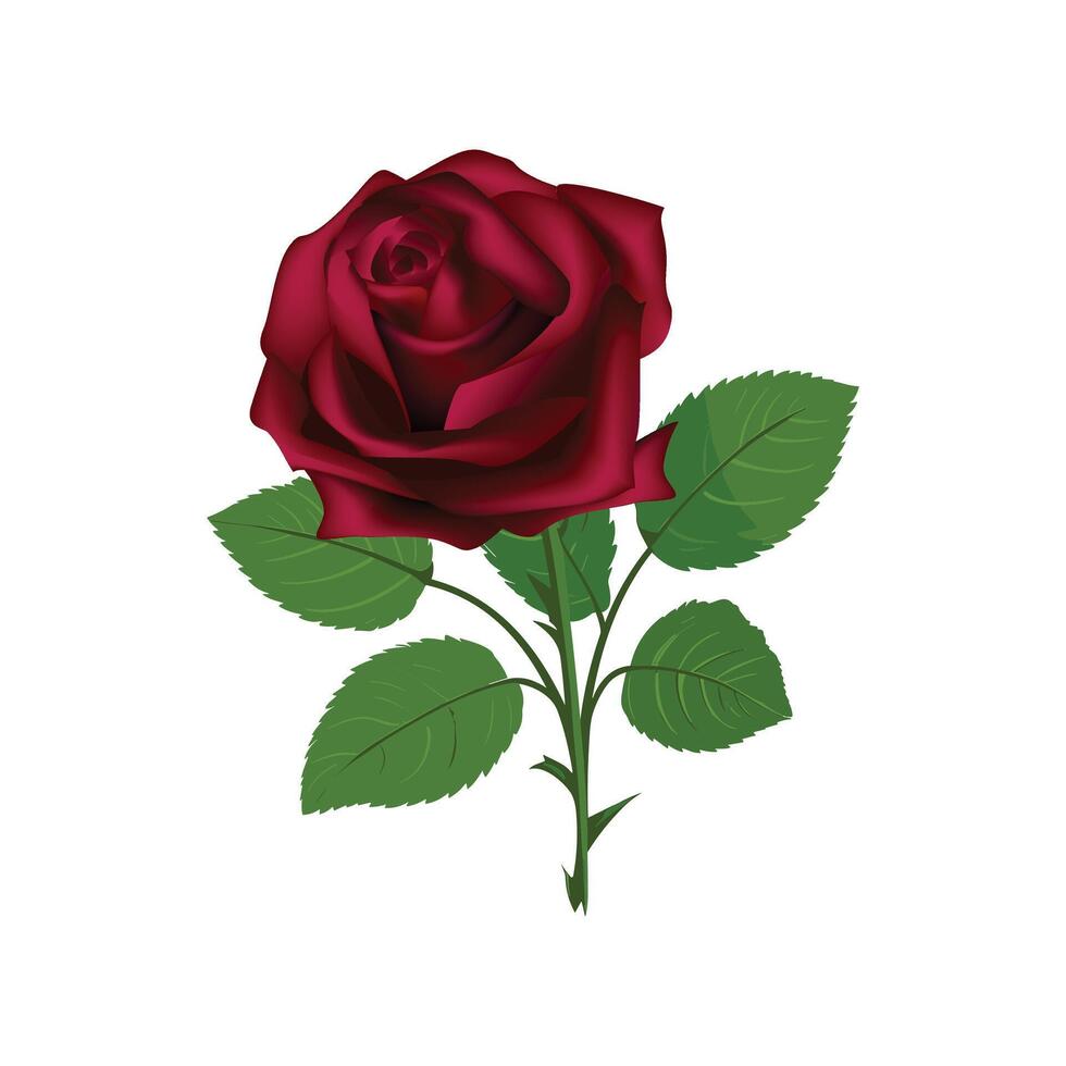 Rose fleur produit arrière-plan, réaliste 3d illustration avec Rose et rose Couleur Contexte vecteur