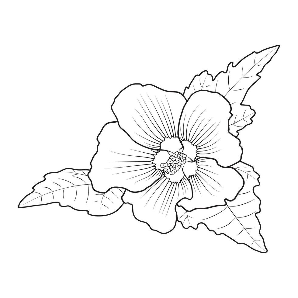 contour robuste hibiscus syriacus vecteur