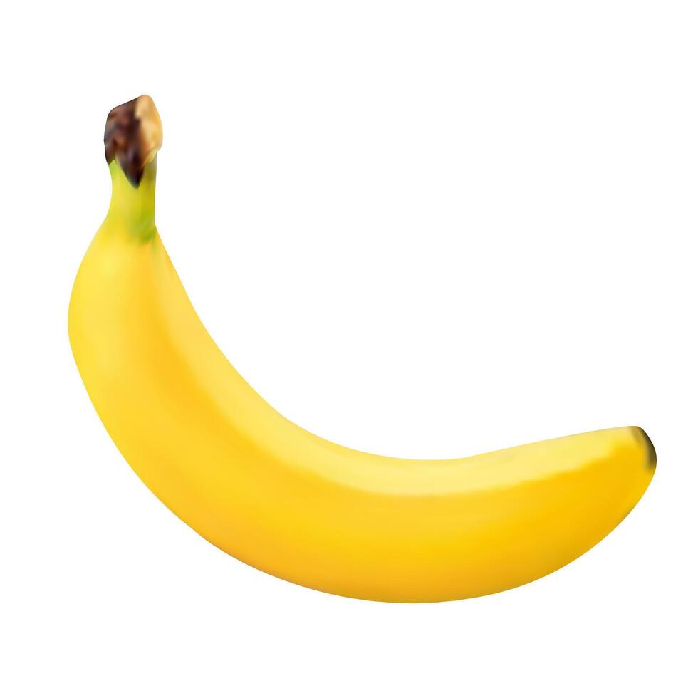 vecteur mûr réaliste banane