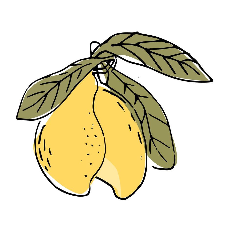 main tiré mangue fruit dans esquisser art illustration vecteur