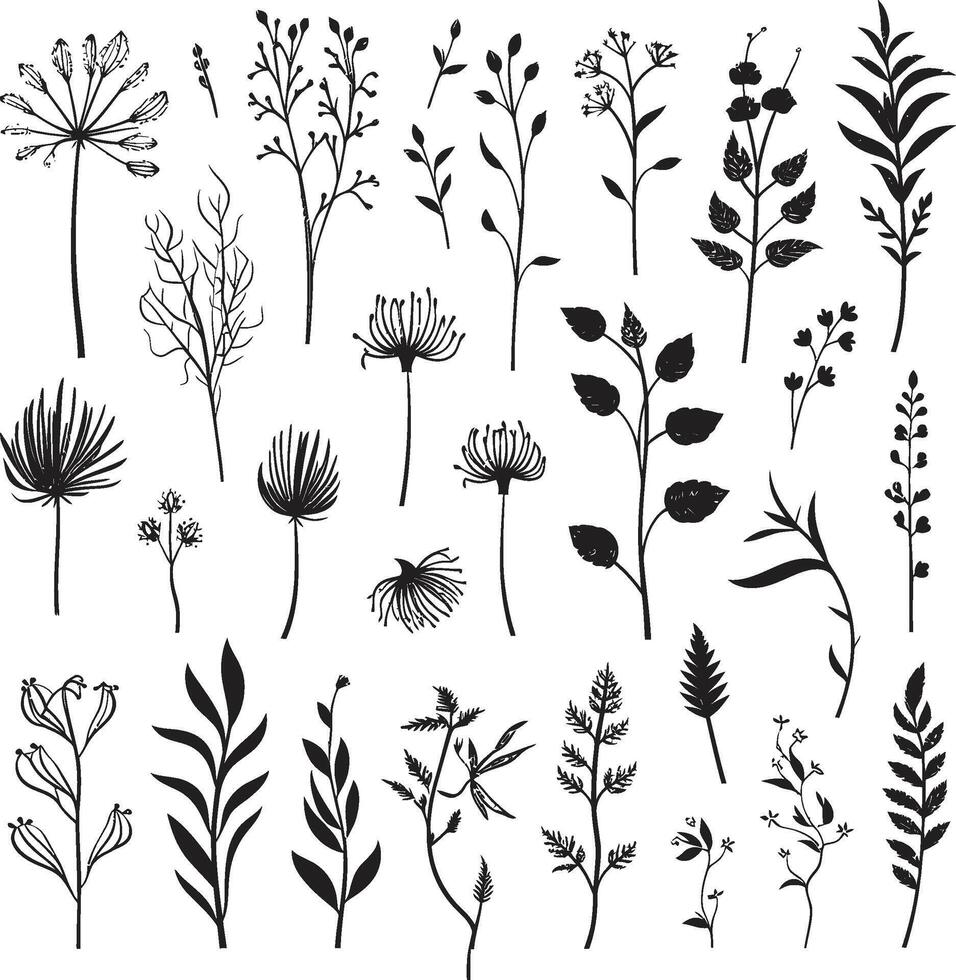 chuchote de la nature monochrome emblème avec noir botanique fleurs infini pétale charme élégant vecteur logo illustrant noir conception