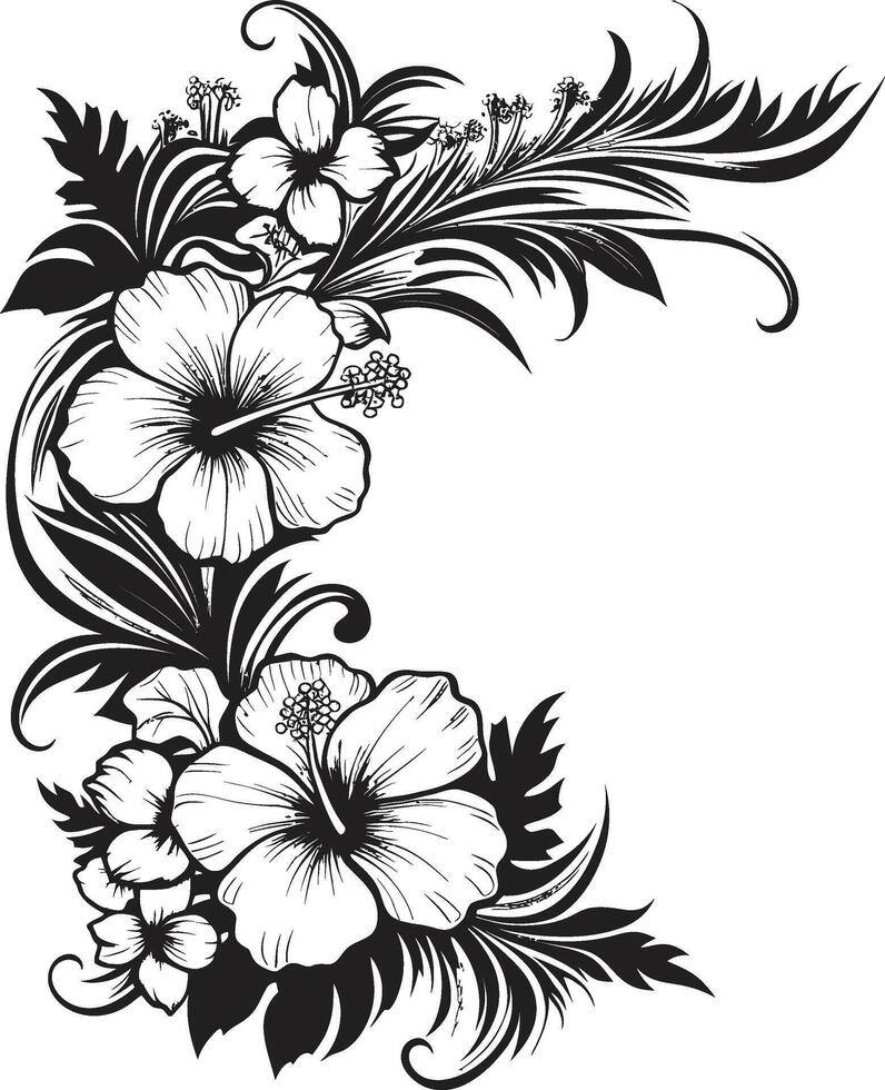 opulent orchidées lisse noir logo conception avec décoratif coins floral éclat élégant vecteur emblème mise en évidence décoratif coins