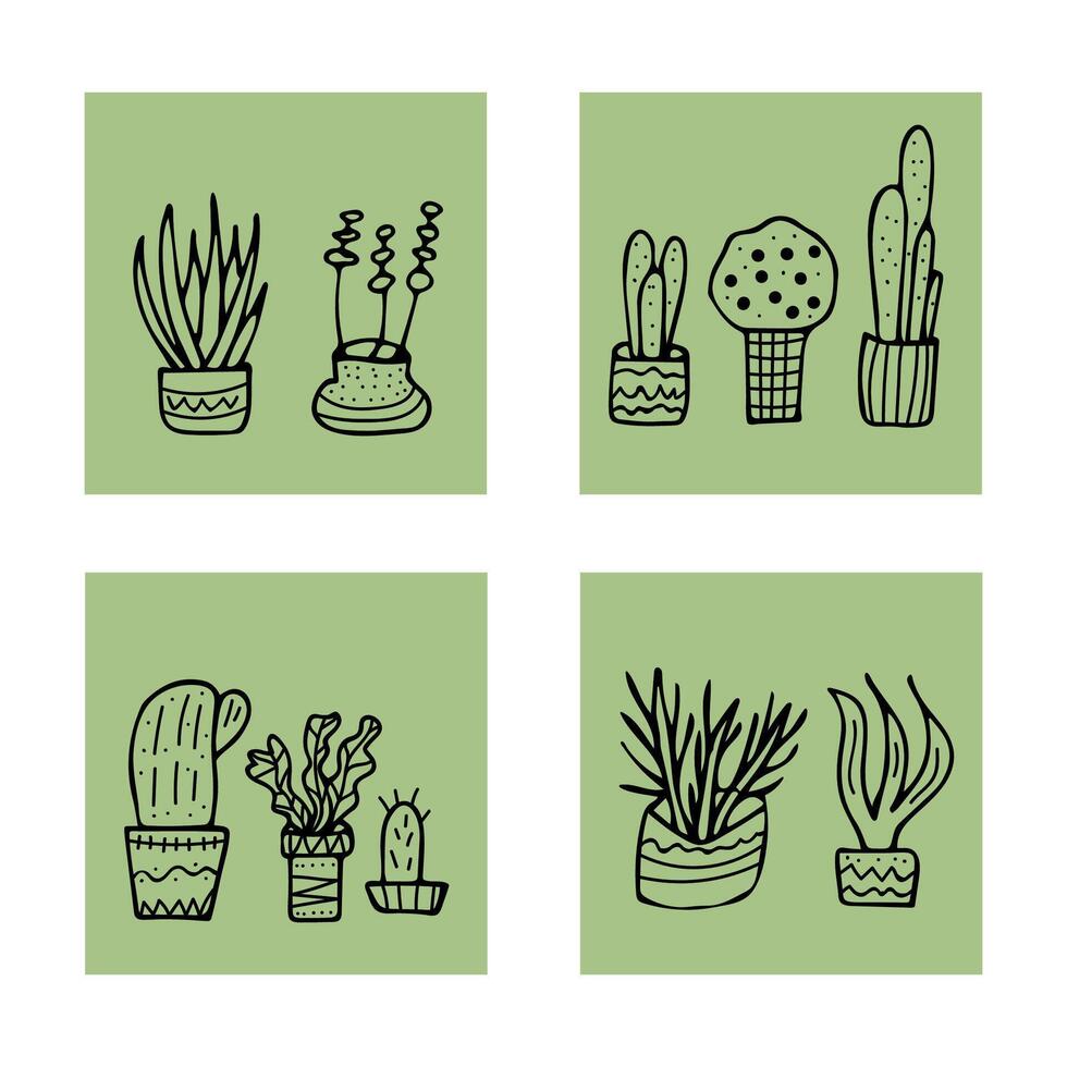 plantes succulentes dans griffonnage style. vecteur illustration.