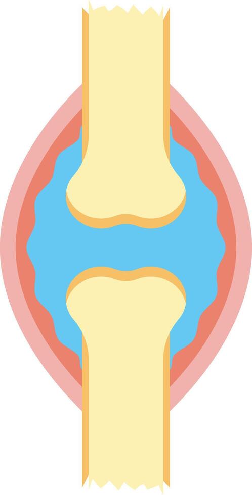 Humain le genou structure. Facile diagramme illustration vecteur