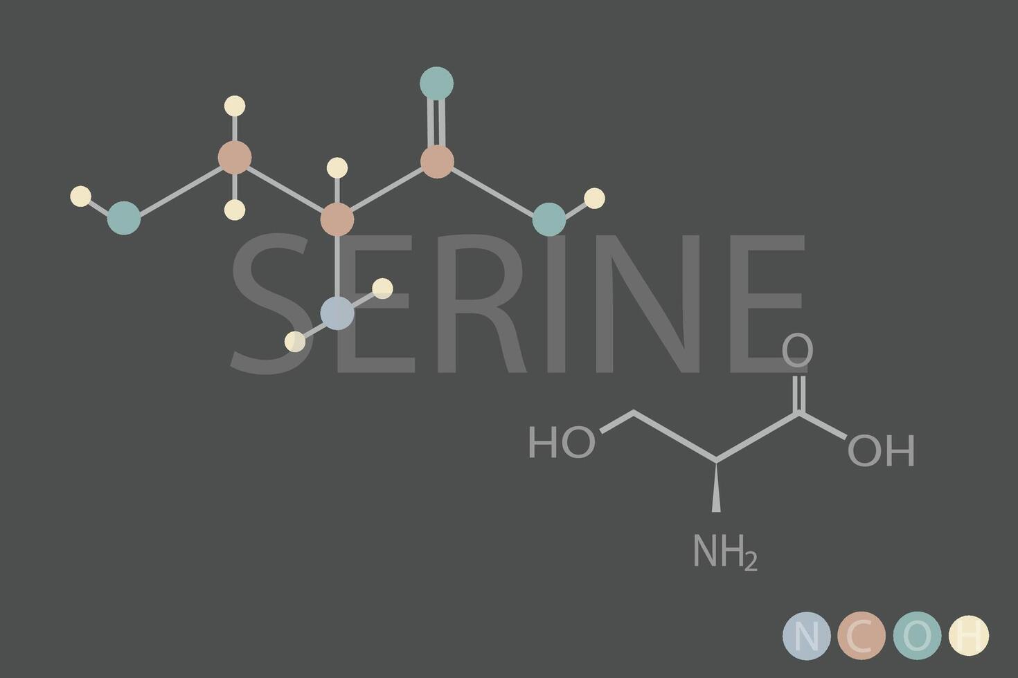 sérine moléculaire squelettique chimique formule vecteur