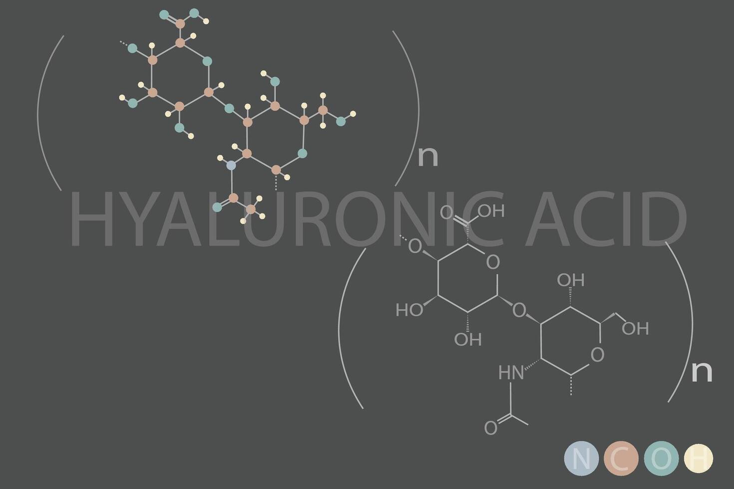 hyaluronique acide moléculaire squelettique chimique formule vecteur