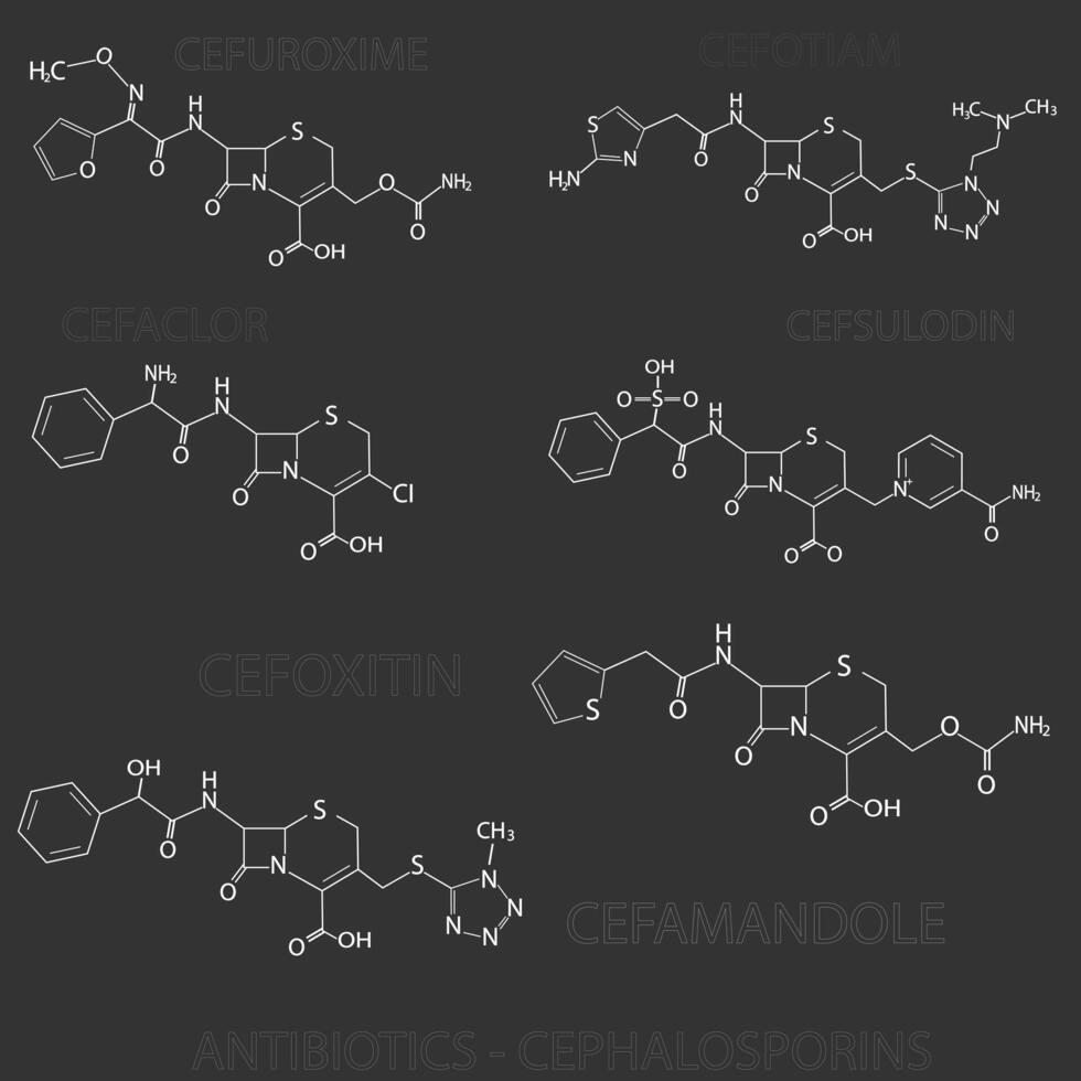 antibiotiques céphalosporines moléculaire squelettique chimique formule vecteur