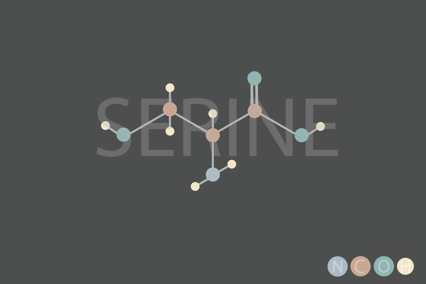 sérine moléculaire squelettique chimique formule vecteur