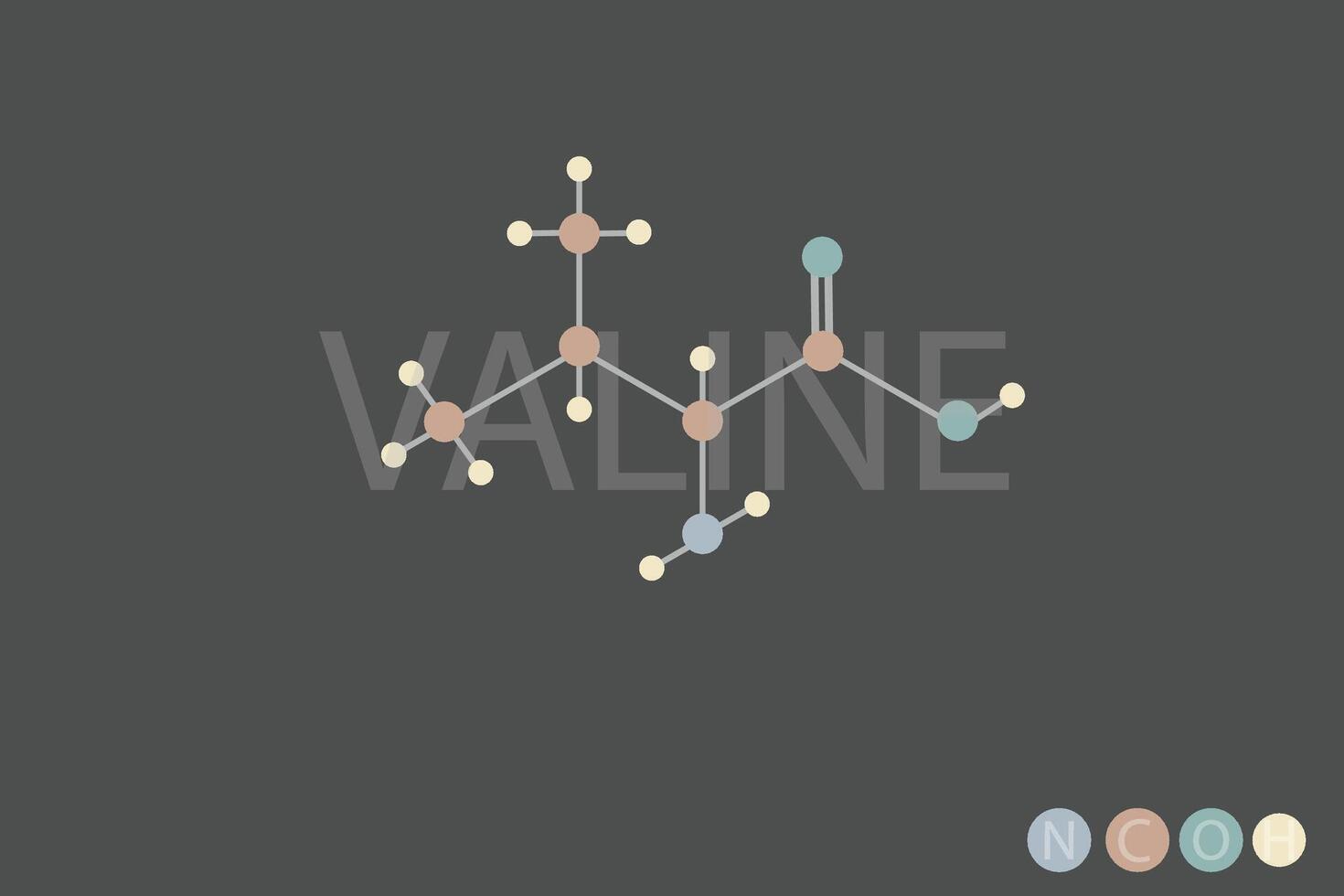 valine moléculaire squelettique chimique formule vecteur