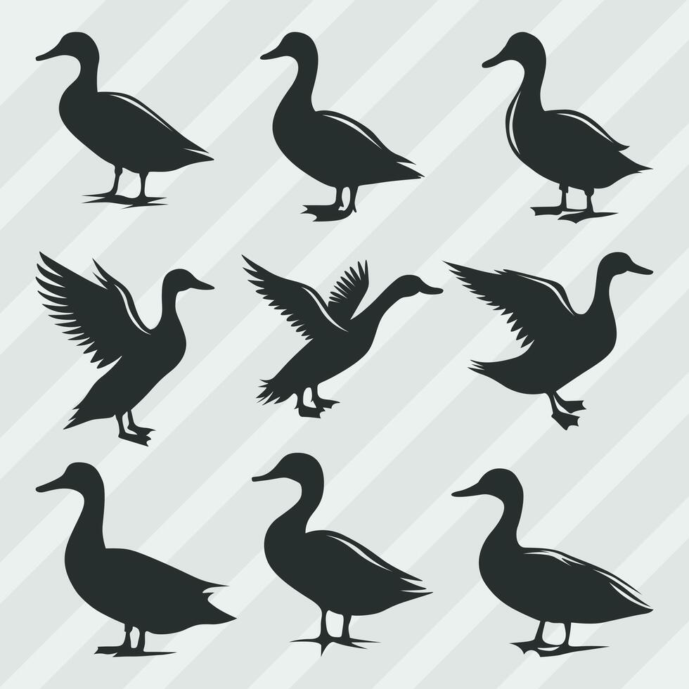 canard vecteur silhouettes empaqueter, ensemble de divers pose canard collection