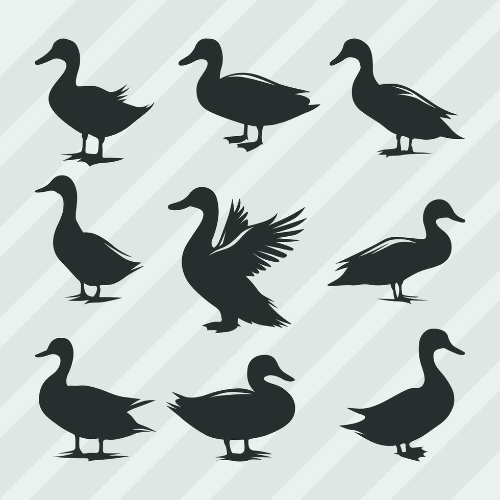 canard vecteur silhouettes empaqueter, ensemble de divers pose canard collection