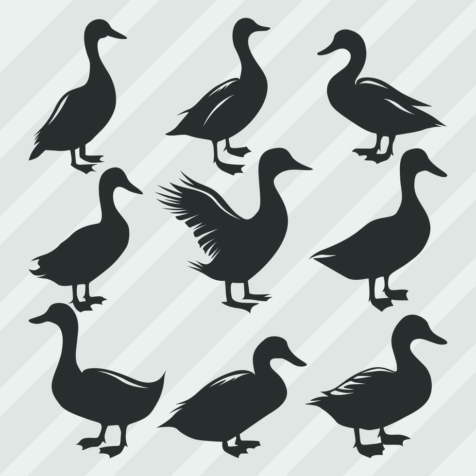 canard vecteur silhouettes empaqueter, ensemble de divers pose canard collection