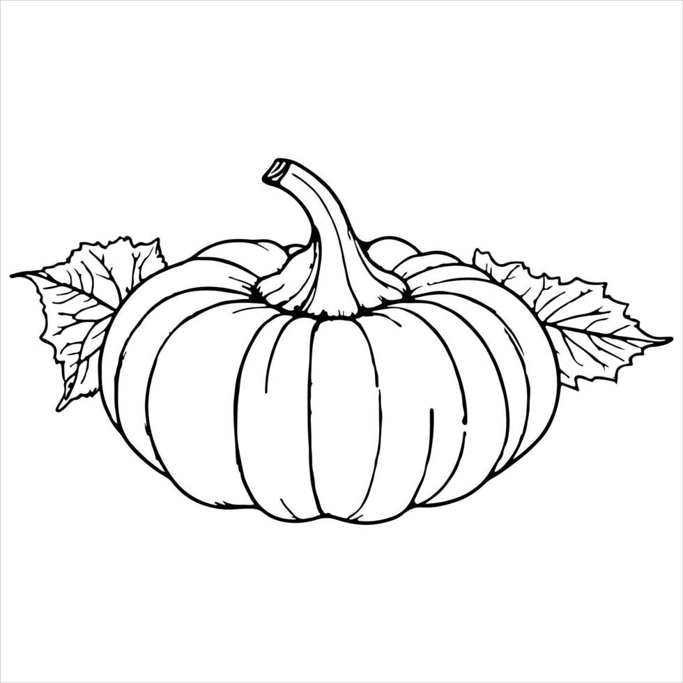 ai généré continu un noir ligne dessin de citrouille Halloween l'automne récolte contour esquisser griffonnage pour coloration vecteur sur blanc Contexte