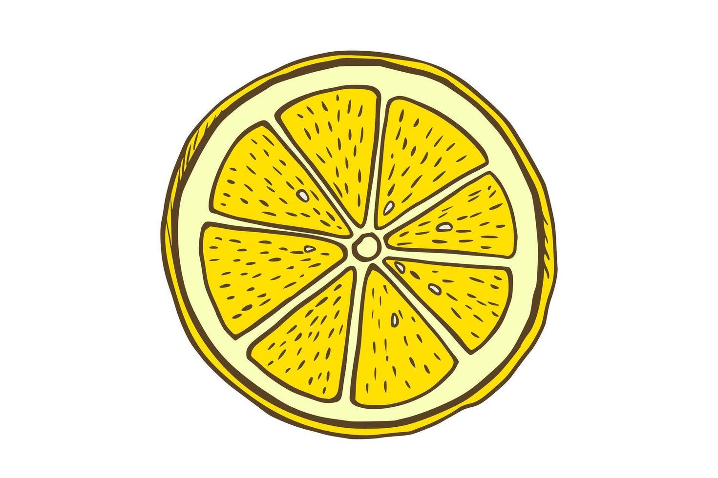 main tiré Couleur tranche citron. fruit Couper dans esquisser style, entier Frais agrumes. dessin isolé sur blanc vecteur