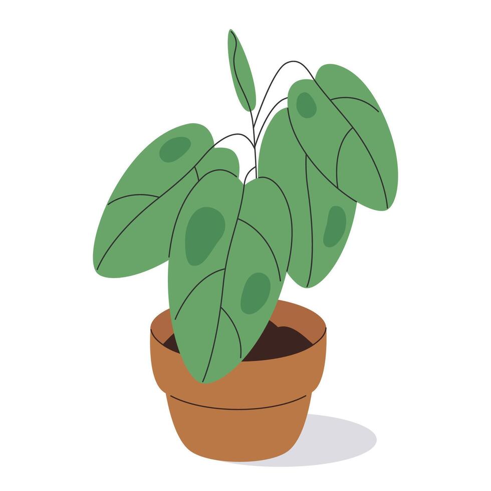 mis en pot plante. vert Accueil usine, mignonne plante d'appartement dans argile pot plat illustration. main tiré pot plante pour décoration intérieur vecteur