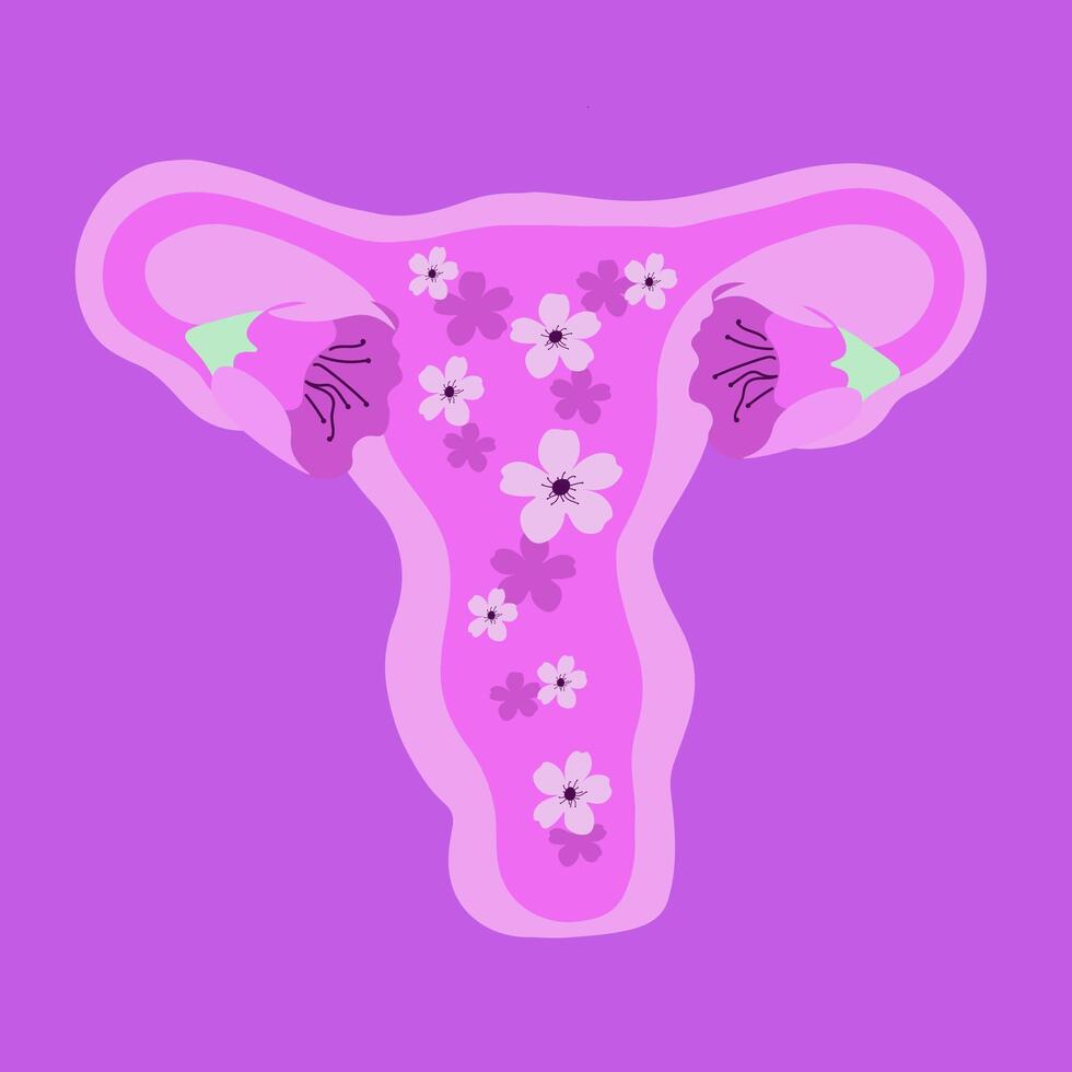 isolé illustration de stylisé femelle utérus. vecteur