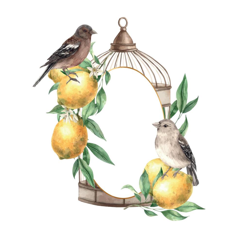 bronze cage avec Jaune citrons, vert feuilles, branches et réaliste des oiseaux. isolé aquarelle Cadre dans ancien style. main tiré composition pour décoration de cartes, mariage conception, invitations vecteur