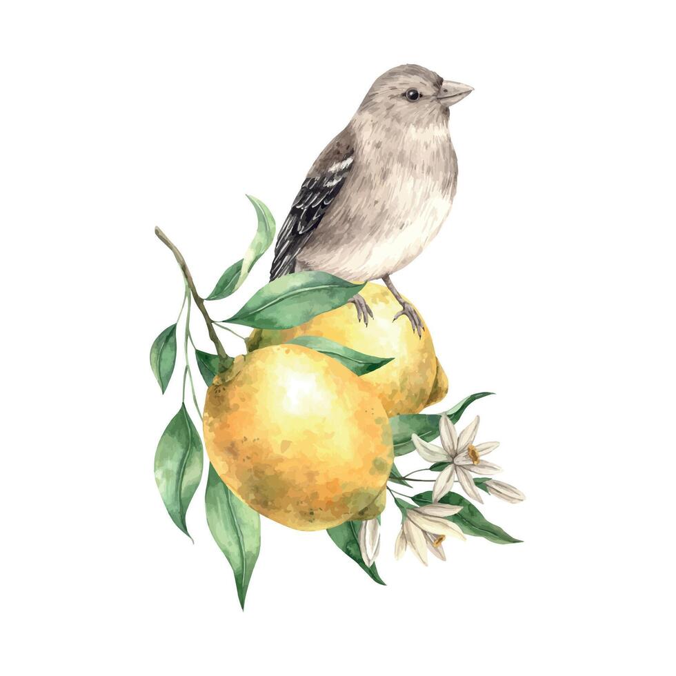 Jaune citron avec vert feuilles et fleurs, marron réaliste oiseau. isolé aquarelle illustration dans ancien style. Fait main composition pour intérieur, cartes, mariage conception, faire-part, textiles. vecteur